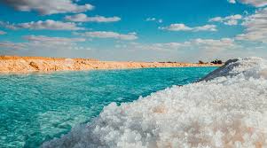 Siwa Oasis landscape